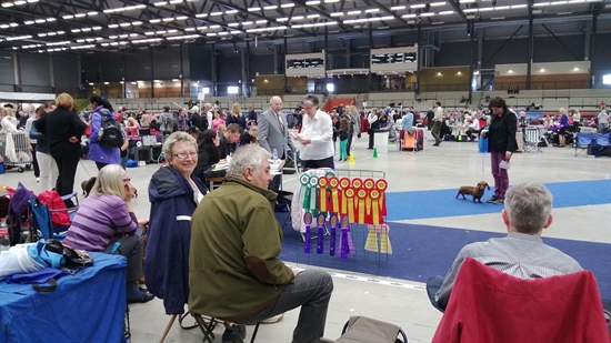 Utställning i Sparbanken Arena, Lidköping 11/5 20013