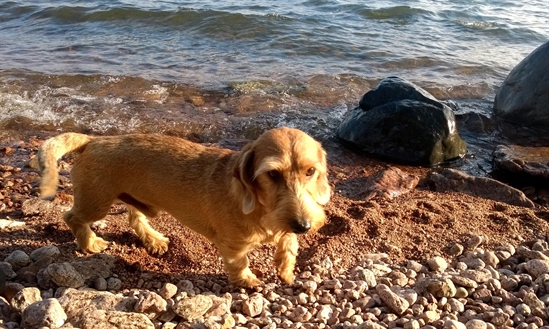 Jacob njuter av sin fina strand, strax nedanför huset