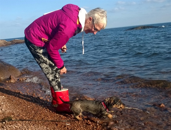 Lena och Dansa apporterar pinnen